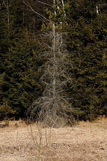 Lipenská přehrada